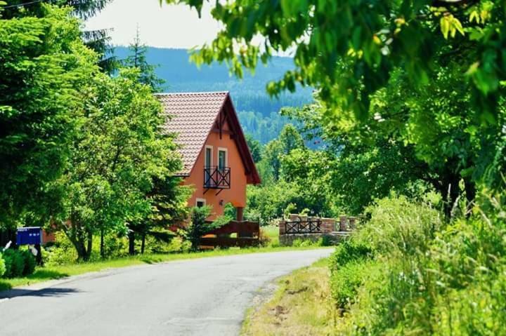 Villa Wydrza-Przystan à Mirsk Extérieur photo